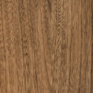 Almond swatch - Elm
