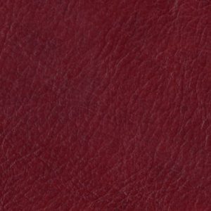 Amrita Delicious swatch - Lazar Leather