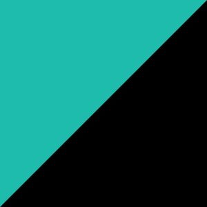 Aruba Blue / Black swatch - Poly Colors