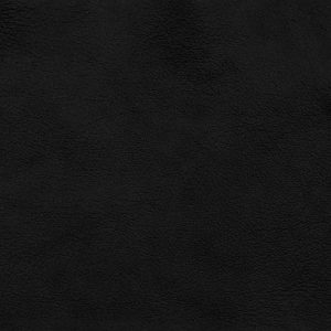 Black swatch - Amish Leather