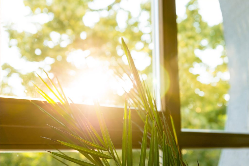 Summer sunlight coming through a window