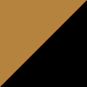 Cedar / Black swatch - Poly Colors