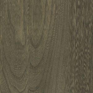 Driftwood swatch - Elm