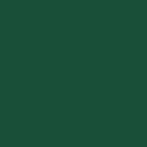 Green swatch - Poly Colors