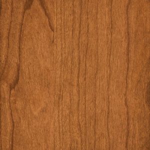 Harvest swatch - Cherry & Rustic Cherry