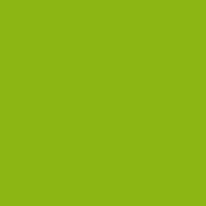 Lime Green swatch - Poly Colors