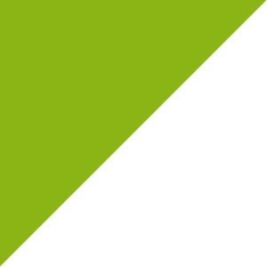 Lime Green / White swatch - Poly Colors