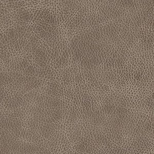 Mushroom swatch - Amish Leather