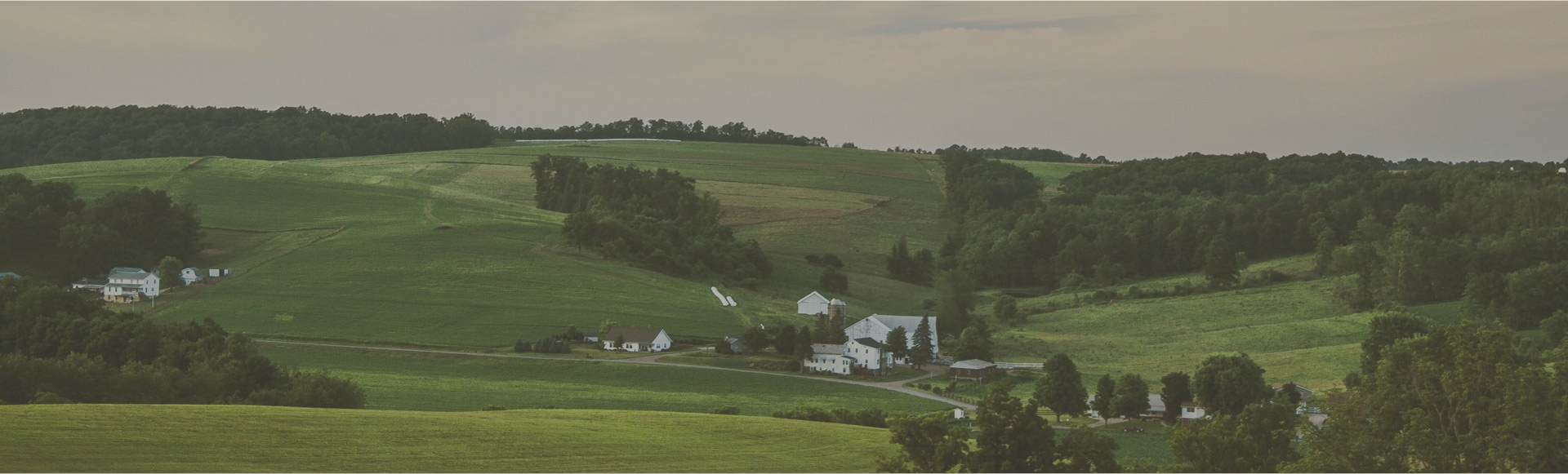 Rolling Ohio farmland with barns and treelines under low mist