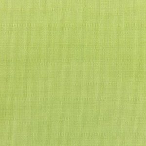 Parrot swatch - Sunbrella Cushions