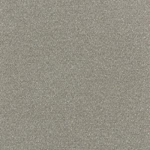 Fisher swatch - Revolution Fabrics