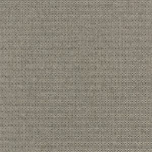 Ship swatch - Revolution Fabrics
