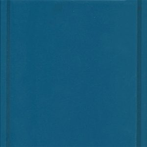 Regal Blue swatch - FinishWorks Paint