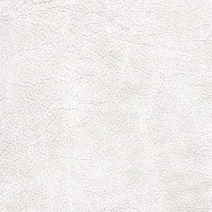 Speakeasy Luna swatch - Lazar Leather