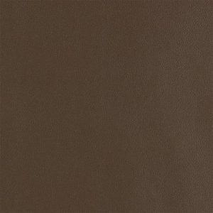Truffle swatch - Amish Leather