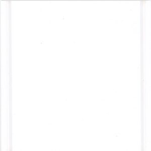White swatch - FinishWorks Paint