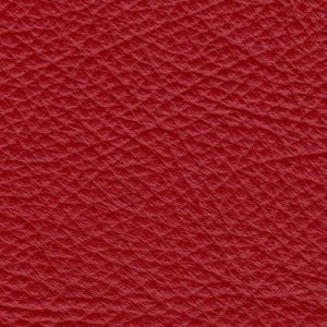 Zenith Lipstick swatch - Lazar Leather